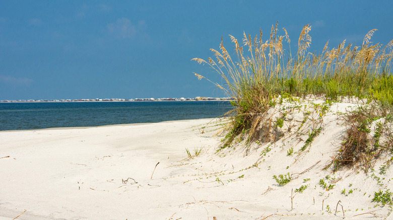 sand dunes at Dauphin Island