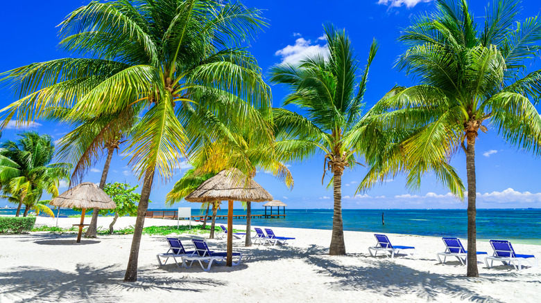 Beach in Cancún, Mexico