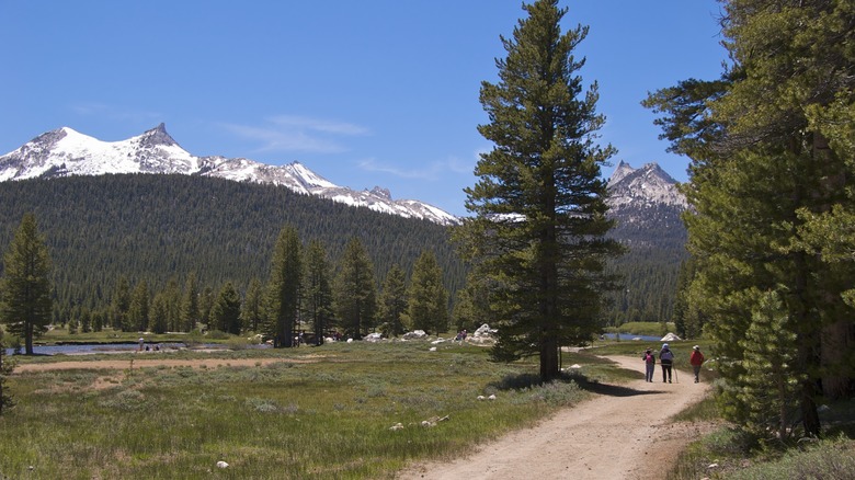 Soda Springs Parson Lodge Trail