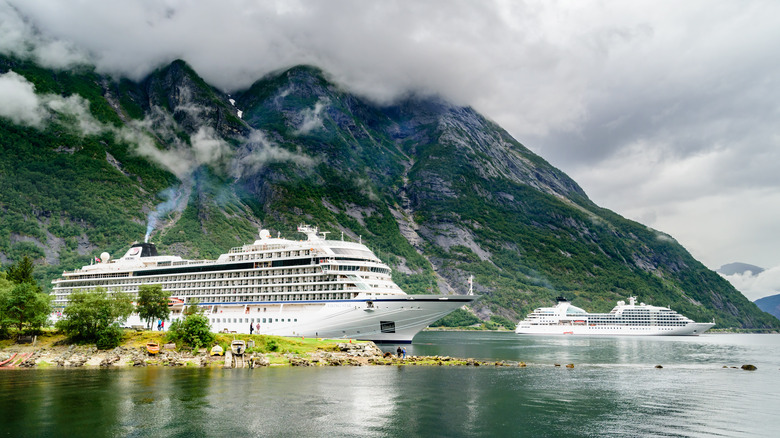 Cruise ships under moody sky