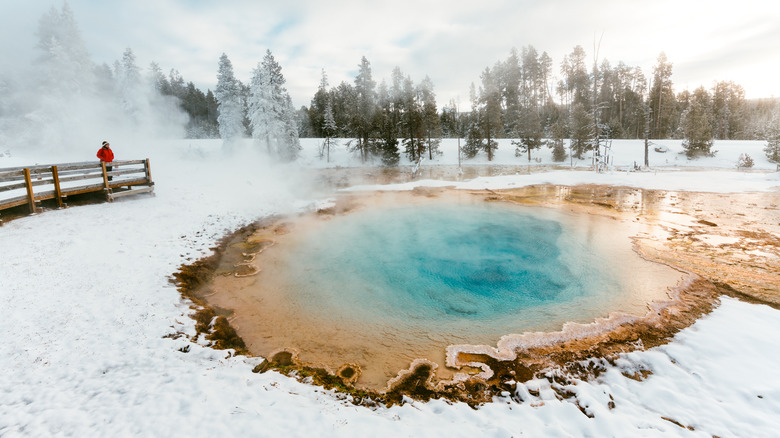 hot spring at Yellowstone National Park