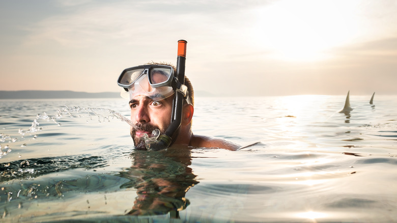 Snorkeling man being followed by sharks