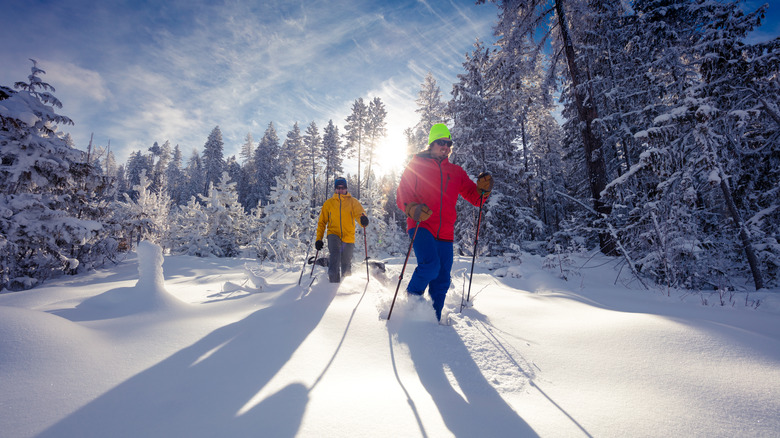 People snowshoeing 