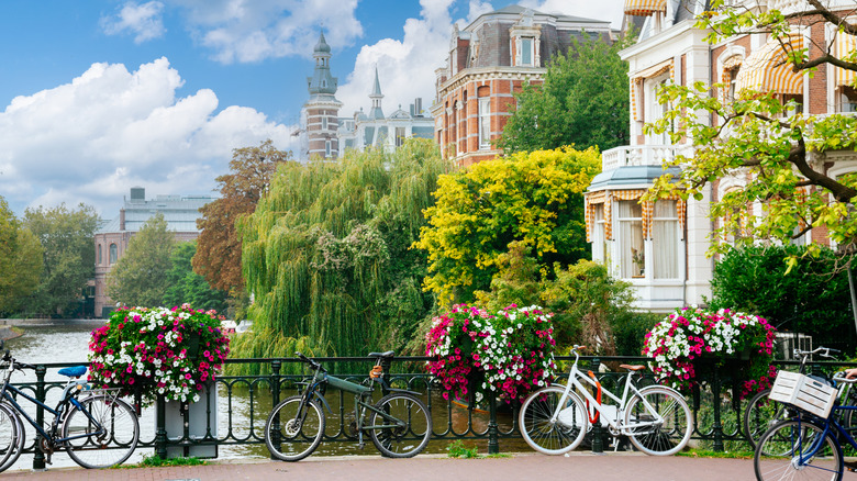 Amsterdam canal bikes houses