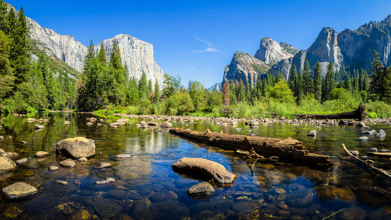 Yosemite National Park